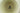 H0217F_0 (2015-11-22 04:41:21)