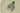 H0374I_0 (2018-08-21 04:49:54)