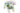 H0434Q (2025-06-18 14:58:52)