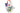 H0455Q (2025-04-15 11:40:57)