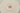 H1462N_0 (2024-09-10 00:51:18)