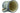 H1489C_2 (2015-11-21 18:54:11)