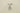 H1497L_0 (2021-05-16 13:24:57)