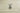 H1565B_0 (2019-05-15 01:35:56)