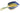 H1602D_1 (2015-11-21 22:14:03)