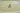 H1620E_0 (2015-11-22 01:46:19)