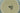 H1800H_0 (2015-11-22 12:13:08)