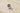 H1861P_0 (2025-03-30 10:33:14)