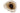 H1919Q_0 (2025-04-29 09:23:55)