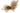 H2008Q_0 (2025-04-07 13:52:19)