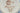 H2259P_0 (2024-09-01 03:25:44)