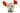 H3539K_2 (2019-07-20 06:32:27)