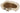 H3976Q_0 (2025-05-29 06:25:00)