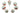 H4562O_0 (2023-12-01 05:28:11)