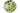H5024N_1 (2024-02-19 14:33:37)