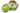 H5041N_1 (2024-02-19 14:33:40)