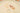 H5053N_0 (2025-04-04 14:15:38)