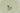 H5540H_0 (2015-11-22 13:33:22)