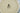 H5617J_0 (2019-06-03 15:50:48)