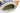 H5869R_0 (2025-10-12 14:25:59)