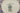 H5893R_0 (2025-10-14 14:00:00)