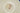 H5985O_0 (2024-12-13 02:14:59)