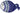 H6391O_1 (2024-10-14 03:43:06)