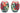 H6473P (2025-02-24 13:52:29)