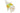 H6546P_2 (2025-03-09 12:26:50)