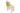 H6574P_2 (2025-02-25 10:59:32)