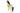 H6578P_2 (2025-03-10 15:52:46)