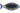 H6738N_1 (2023-09-24 05:32:41)