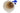 H6934O_0 (2025-07-25 12:35:06)
