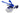 H7139O (2024-09-08 05:43:18)