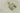 H7353Q_0 (2025-04-18 00:14:40)