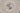 H8399G_0 (2015-11-22 11:00:06)