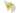 H8929O_2 (2025-03-09 12:12:17)