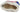 H9414P_0 (2024-09-25 06:38:39)