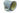 H9863E_1 (2015-11-22 04:33:42)