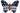 H1361L_1 (2020-12-09 08:49:36)