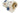 H1660P_0 (2024-01-22 14:46:26)