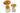 H1869M_1 (2021-06-18 05:42:48)
