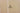 H2066C_0 (2015-11-21 19:05:27)