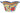 H2426M_2 (2022-02-01 09:22:17)