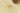H4047N_0 (2022-09-11 03:15:57)