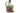 H4227K_1 (2019-07-26 11:10:43)