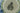 H4633I_0 (2017-02-24 14:48:04)