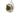 H5419N (2024-06-19 06:47:54)