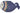 H6738K_1 (2020-02-24 12:32:58)