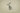 H7738J_0 (2019-06-02 04:36:33)